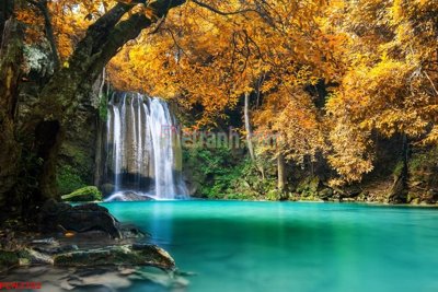 File tranh gốc File tranh phong cảnh thiên nhiên PCN2702 (bản quyền) độc đáo