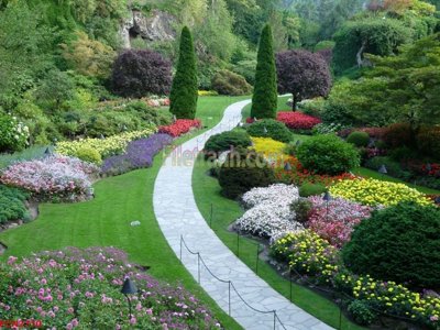 Ảnh gốc File tranh phong cảnh thiên nhiên PCN2710 (độ nét cao) in tráng gương