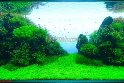 File tranh File tranh phong cảnh thiên nhiên PCN2742 (bản gốc) treo tường