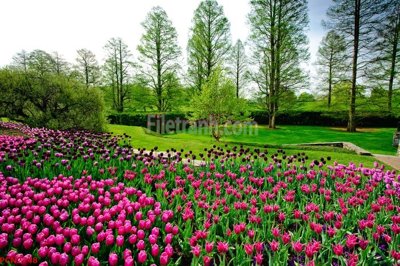 File tranh File tranh phong cảnh thiên nhiên PCN2748 (ảnh gốc) cho in ấn kỹ thuật số