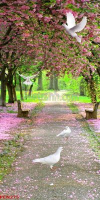 Mua file gốc File tranh phong cảnh thiên nhiên PCN275 (chất lượng) tại Filetranh.com