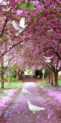 File gốc File tranh phong cảnh thiên nhiên PCN276 (bản quyền) cho in ấn