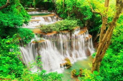 File in lụa File tranh phong cảnh thiên nhiên PCN2762 (hoa văn) File tranh phong cảnh thiên nhiên PCN2762