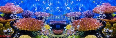 File gốc File tranh phong cảnh thiên nhiên PCN2776 (phiên bản chuẩn) để in ấn