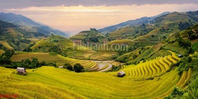 Download file ảnh gốc File tranh phong cảnh thiên nhiên PCN2787 để in ấn