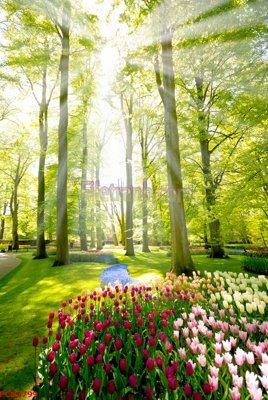 File tranh gốc PSD File tranh phong cảnh thiên nhiên PCN2799 còn nguyên layer