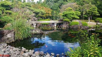 File ảnh File tranh phong cảnh thiên nhiên PCN2805 (gốc) in PP, decal