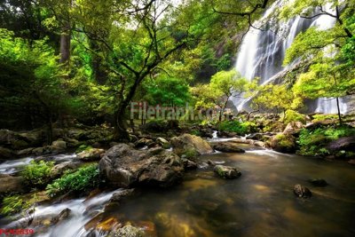 File PSD File tranh phong cảnh thiên nhiên PCN2839 (bản gốc) cho nhà in