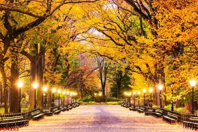 File in lụa File tranh phong cảnh thiên nhiên PCN293 (chất lượng cao) File tranh phong cảnh thiên nhiên PCN293