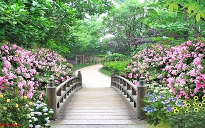 File gốc File tranh phong cảnh thiên nhiên PCN296 (vector) cho in ấn