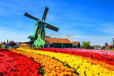 File gốc File tranh phong cảnh thiên nhiên PCN3093 (ảnh chi tiết) để in trần