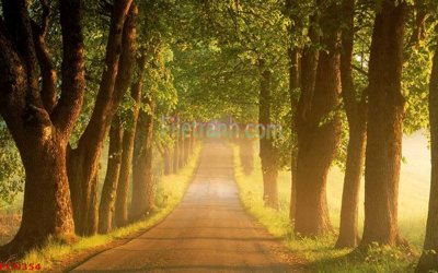 File tranh gốc File tranh phong cảnh thiên nhiên PCN354 (bản quyền) Filetranh.com