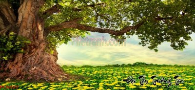 File tranh File tranh phong cảnh thiên nhiên PCN357 (gốc) in film