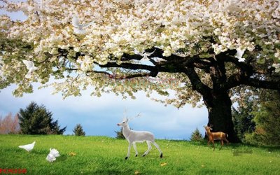 File gốc File tranh phong cảnh thiên nhiên PCN358 (ảnh chi tiết) để in ấn