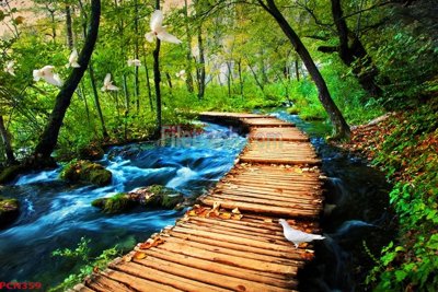 Download file gốc File tranh phong cảnh thiên nhiên PCN359 (dùng cho in ấn)