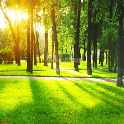 File tranh File tranh phong cảnh thiên nhiên PCN372 (bản gốc) in lụa 3D