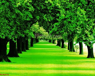 File in mica File tranh phong cảnh thiên nhiên PCN375 (bản gốc) siêu trong