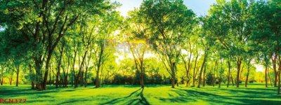 File in lụa File tranh phong cảnh thiên nhiên PCN377 (tân cổ điển) File tranh phong cảnh thiên nhiên PCN377