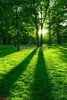 Hình ảnh gốc File tranh phong cảnh thiên nhiên PCN380 (để in khổ lớn)