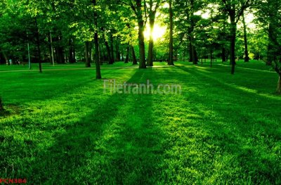 File gốc File tranh phong cảnh thiên nhiên PCN384 (vector) cho in ấn