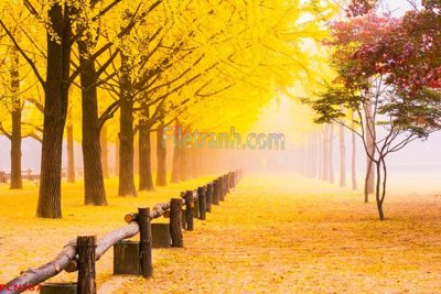 File gốc File tranh phong cảnh thiên nhiên PCN387 (in mica) trang trí