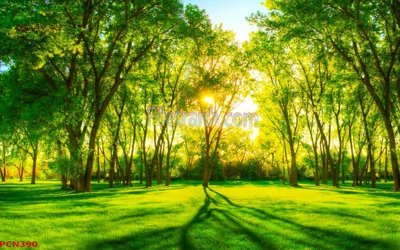 Download file File tranh phong cảnh thiên nhiên PCN390 (gốc) in mica đèn LED