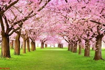 Tải file File tranh phong cảnh thiên nhiên PCN392 (PSD) cho in tranh 3D