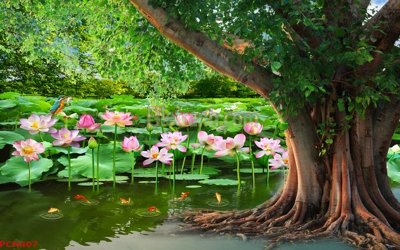 File PSD File tranh phong cảnh thiên nhiên PCN407 (bản gốc) dễ dàng edit