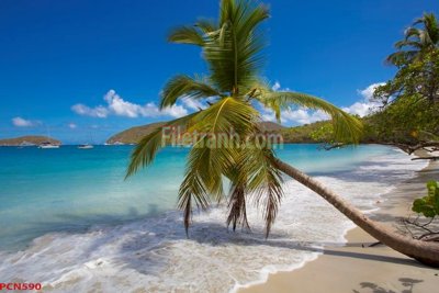 Tải file File tranh phong cảnh thiên nhiên PCN590 (gốc) chủ đề tâm linh