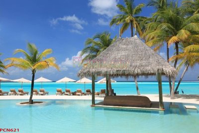 File in trần File tranh phong cảnh thiên nhiên PCN621 (bản gốc) 5D