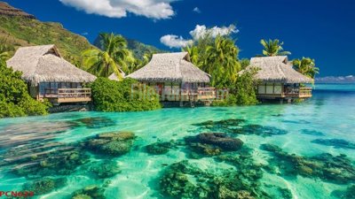 File in trần File tranh phong cảnh thiên nhiên PCN623 (bản gốc 3D) sống động