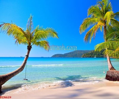 File gốc File tranh phong cảnh thiên nhiên PCN629 (in 3D) nghệ thuật