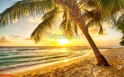 File gốc File tranh phong cảnh thiên nhiên PCN680 (chuẩn màu) cho in offset