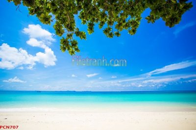 Tải file tranh File tranh phong cảnh thiên nhiên PCN707 (gốc) tại Filetranh.com