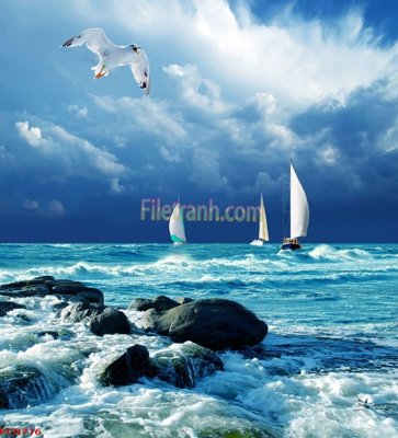 File in ấn File tranh phong cảnh thiên nhiên PCN716 (bản gốc) từ file gốc