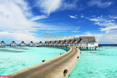 File gốc File tranh phong cảnh thiên nhiên PCN750 (in tráng gương) nghệ thuật