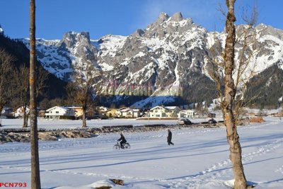 Download file gốc File tranh phong cảnh thiên nhiên PCN793 (in lụa) cao cấp