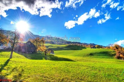 File gốc File tranh phong cảnh thiên nhiên PCN796 (in lụa) tranh mã đáo