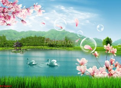 File in mica File tranh phong cảnh thiên nhiên PCN801 (bản gốc) làm vách ngăn