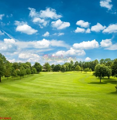 File tranh gốc in trần nhà File tranh phong cảnh thiên nhiên PCN802 3D