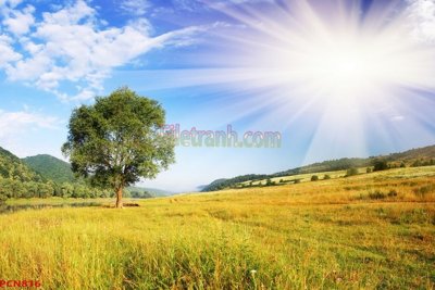 Tải file gốc File tranh phong cảnh thiên nhiên PCN816 (bản PSD) chỉnh sửa được