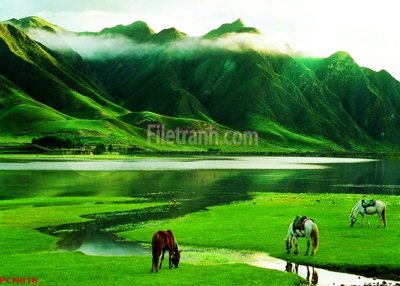 Tải file File tranh phong cảnh thiên nhiên PCN818 (ảnh gốc) 300dpi File tranh phong cảnh thiên nhiên PCN818