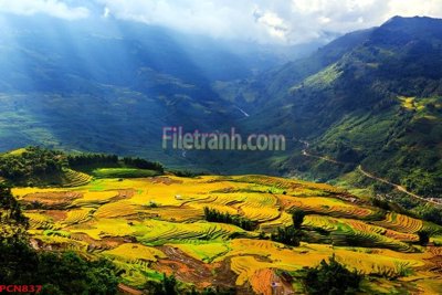 File in mica File tranh phong cảnh thiên nhiên PCN837 (ảnh gốc) đẹp