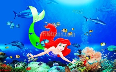 File in mica File tranh phong cảnh thiên nhiên PCN851 (bản gốc) làm vách ngăn