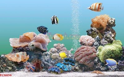 File gốc File tranh phong cảnh thiên nhiên PCN856 (in mica) trang trí