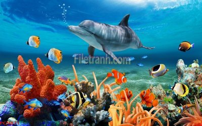 File gốc File tranh phong cảnh thiên nhiên PCN871 (thiết kế) cho in ấn