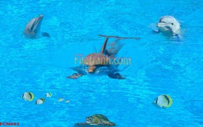 File in trần File tranh phong cảnh thiên nhiên PCN893 (bản gốc 3D) sống động