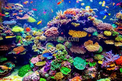 File in trần File tranh phong cảnh thiên nhiên PCN918 (bản gốc) trời sao