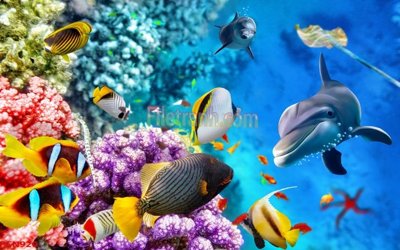 Download file gốc File tranh phong cảnh thiên nhiên PCN920 (in lụa) hoa lá