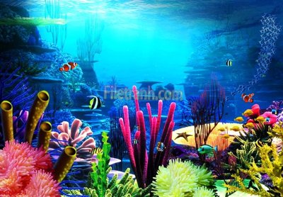 Tải file File tranh phong cảnh thiên nhiên PCN924 (gốc) làm file quảng cáo